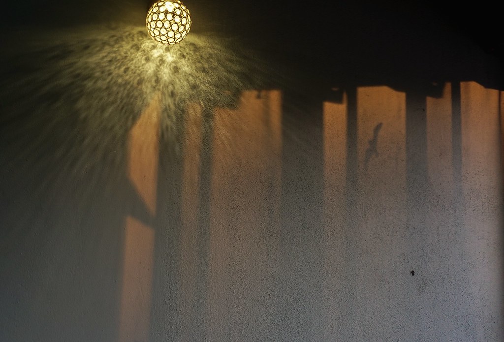 Norah and the Lizard