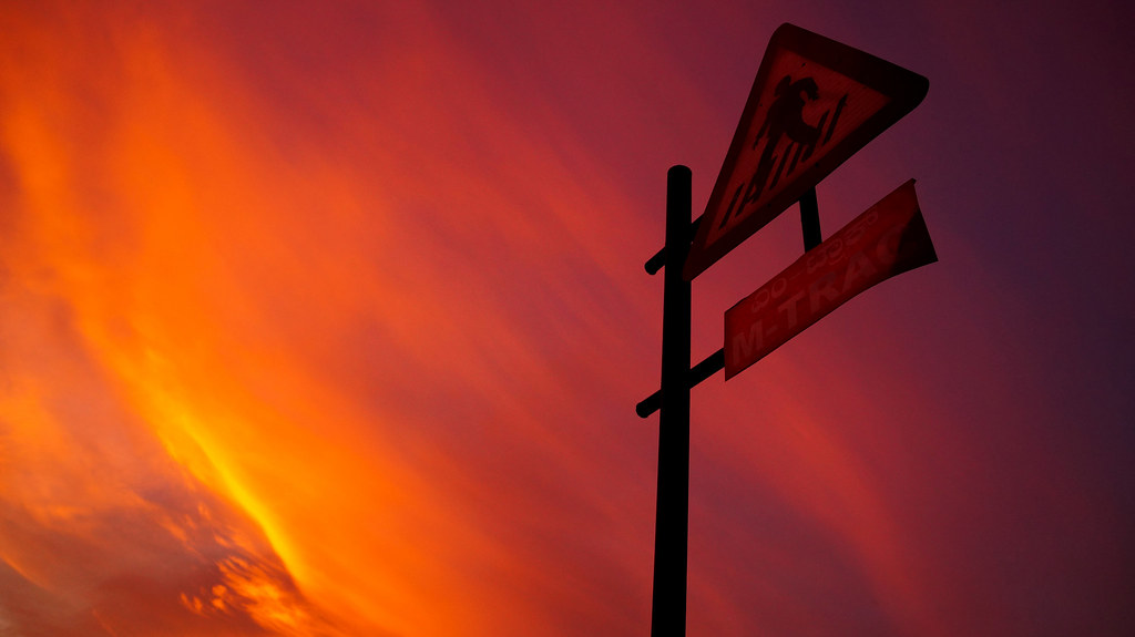 A Road Trip With Cousins